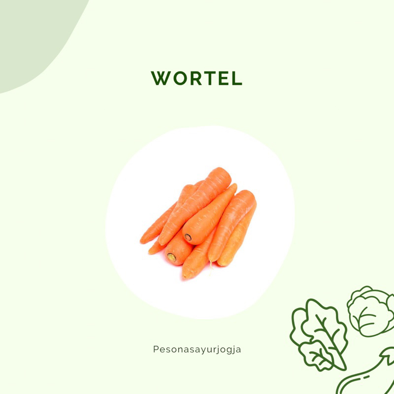 

WORTEL