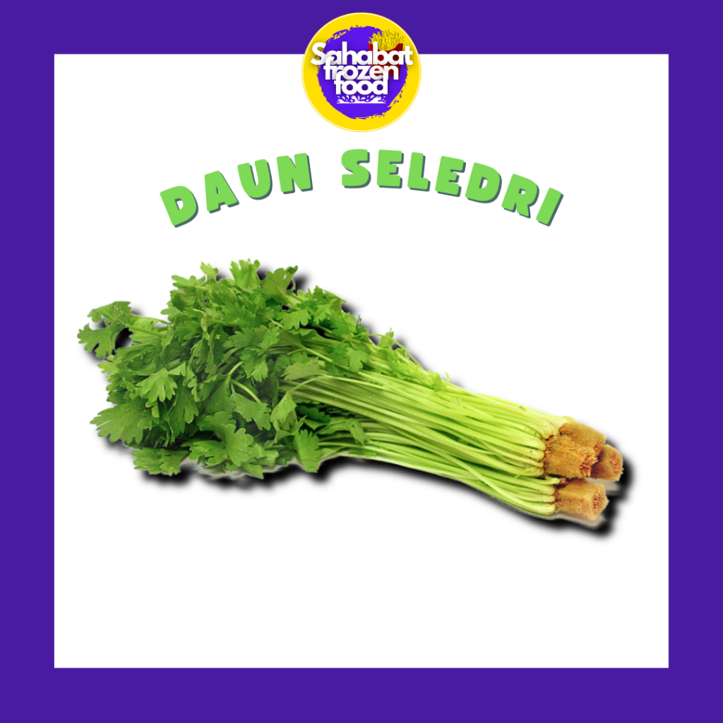 

Seledri / Daun Sledri Segar