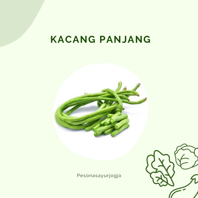 

KACANG PANJANG