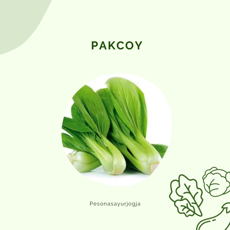 

PAKCOY