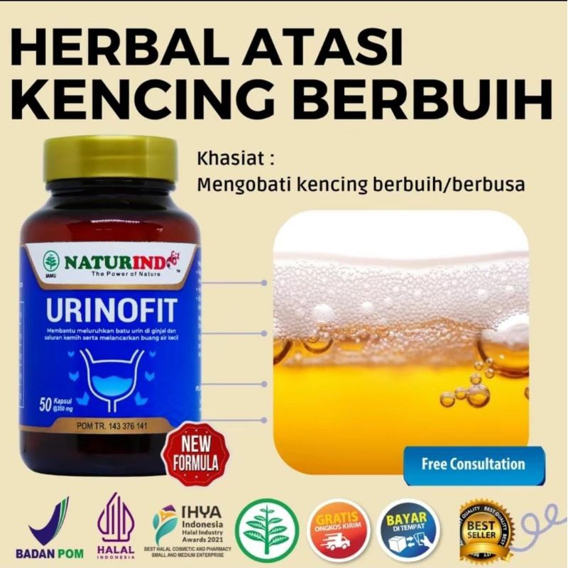 

URINOFIT manfaat dan khasiat: Mengatasi kencing berbuih, Mengatasitasi saluran kemih, Merawat kesehatan ginjal, Meluruhkan batu ginjal, Melancarkan Buang air kecil, memecahkan batu ginjal, mencegah terbantuknya batu ginjal, meningkatkan kinerja ginjal