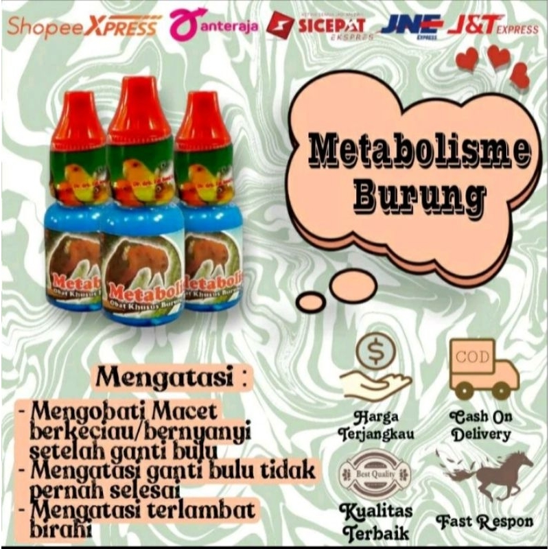 METABOLISME vitamin burung Dr Edhi