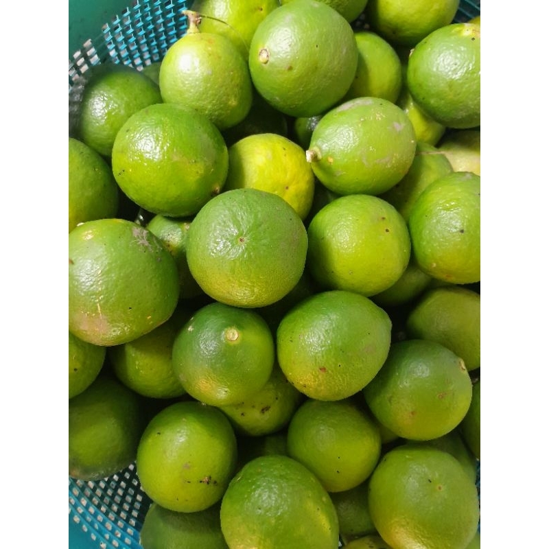 

(250gram) Jeruk Nipis Segar/ Bonus daun jeruk purut