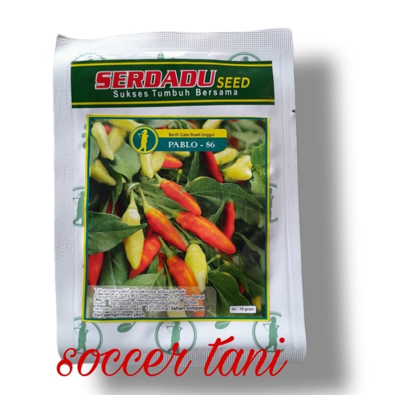 Benih Cabai Rawit Unggul Pablo 86 10gram