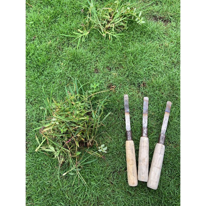 Cukit/ Alat pencabut rumput liar/ Alat Pembasmi rumput liar