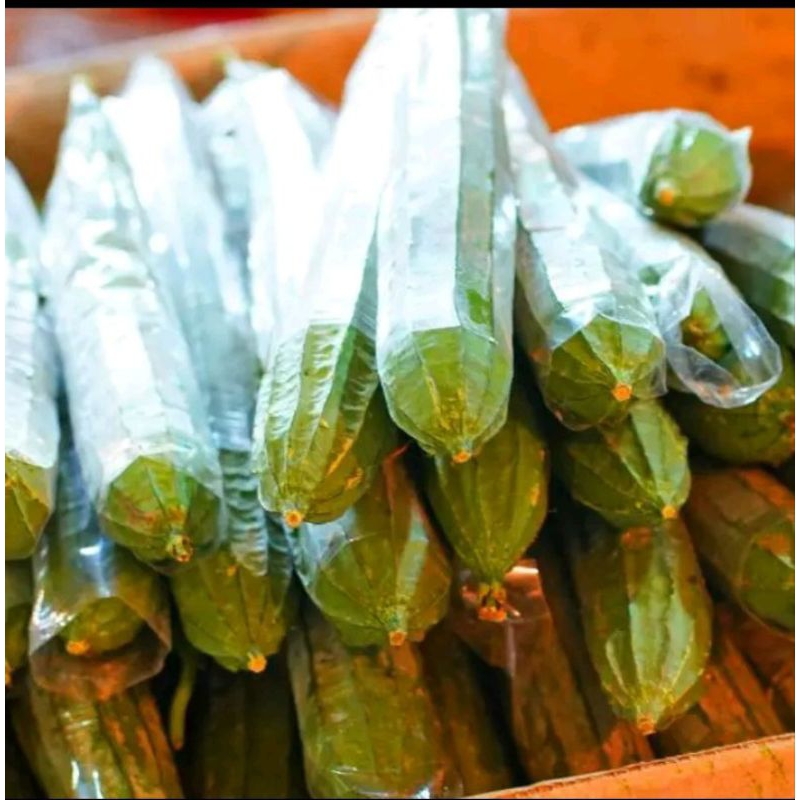 

Sayur Pare/ sayur Oyong 500 gram