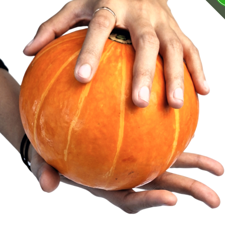 

KABOCA ORANGE/ KABOCA/LABU SIAM/WALUH