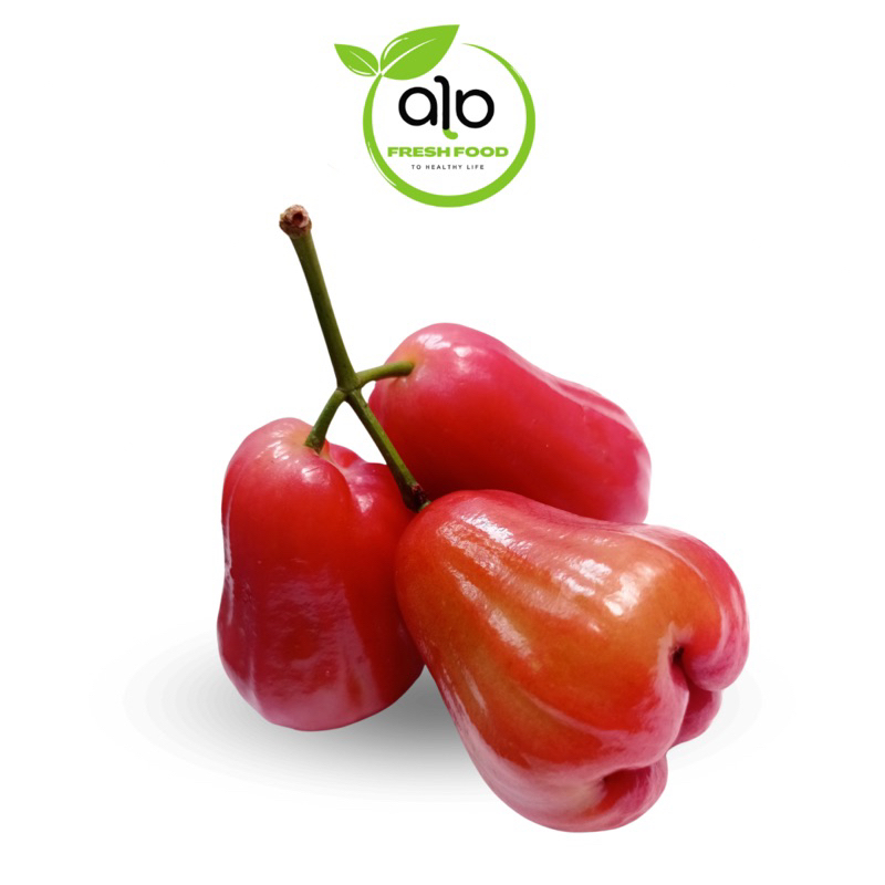 

Jambu Air Manis hijau 1 kg / Jambu Air Madu Langkat