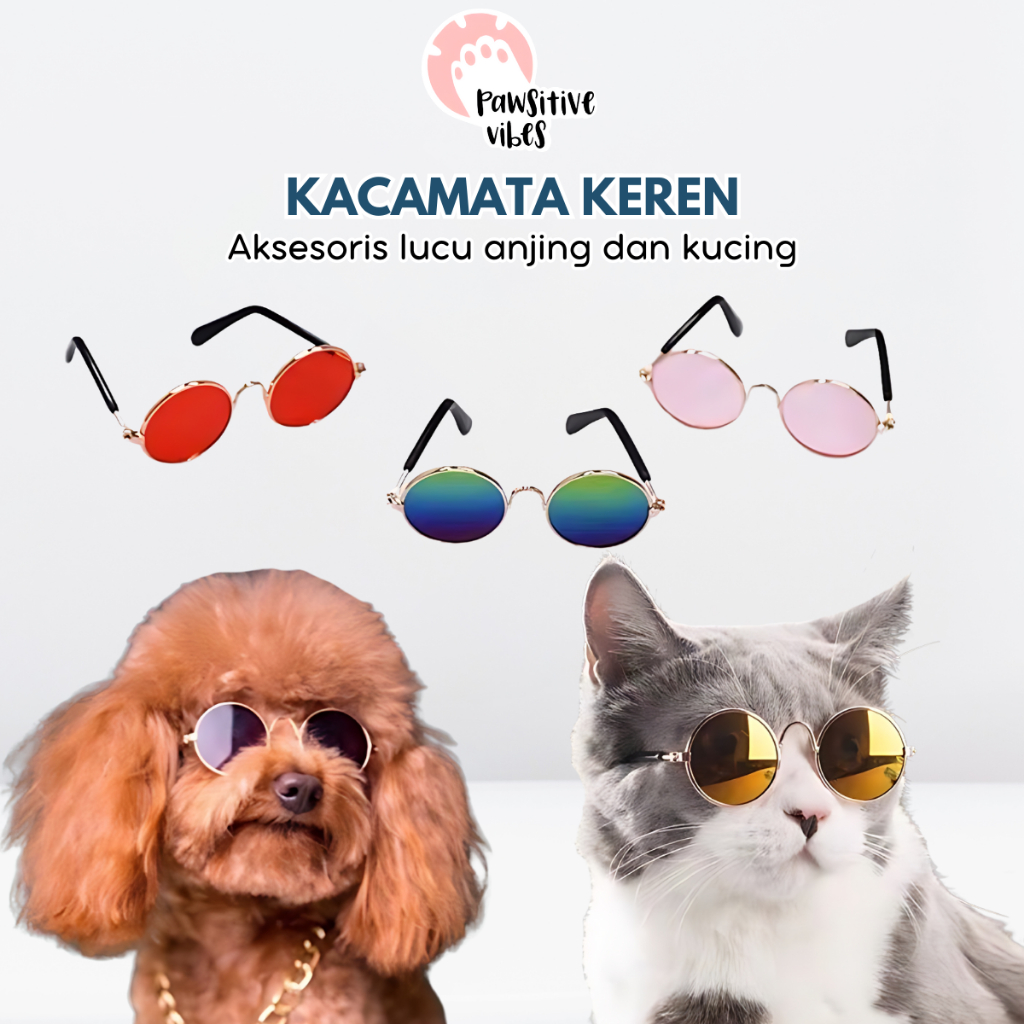 Foto (Promo)Kacamata Keren Untuk Aksesoris Properti Foto Anjing Dan Kucing Peliharaan
