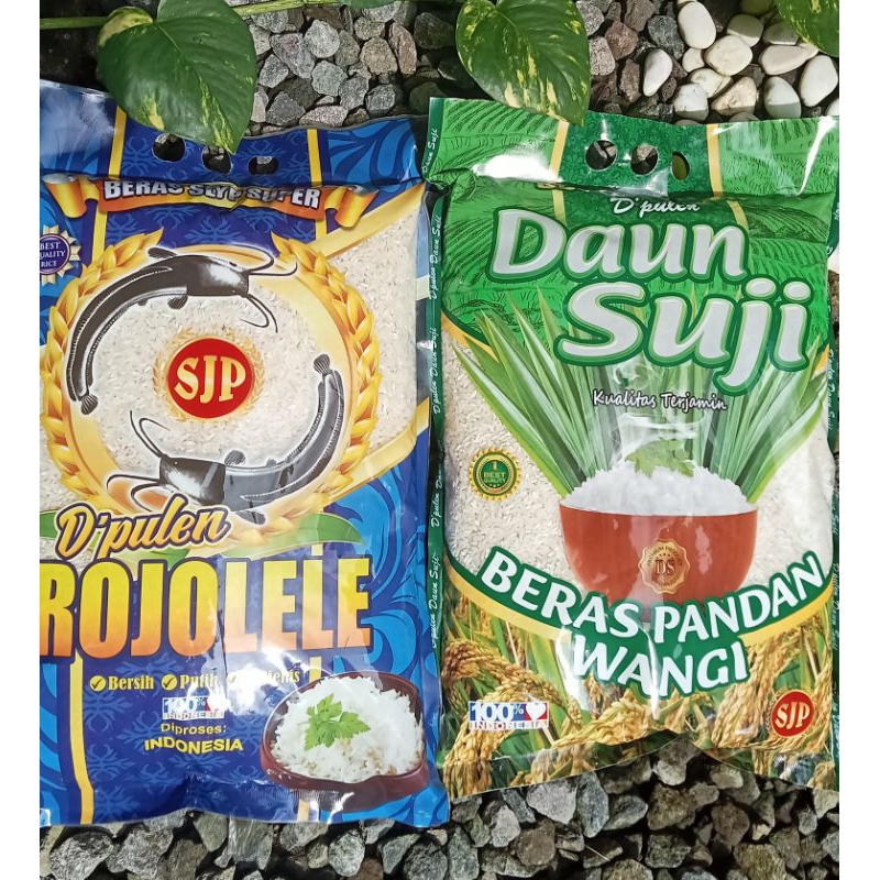 

Beras Rinjani, daun Suji, rojolele