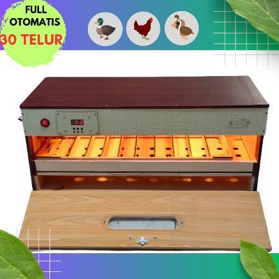 Mesin Penetas Telur Walet