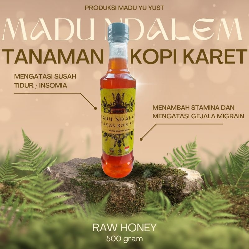 

Madu Ndalem ~ Tanaman Kopi + Pohon Karet