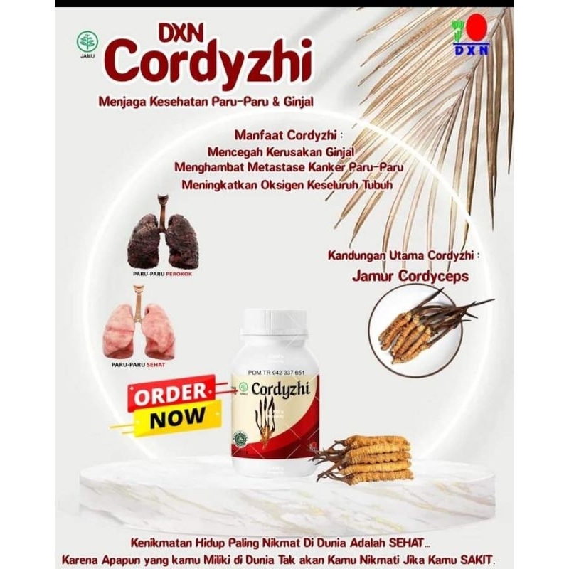 Dxn Cordyzhi