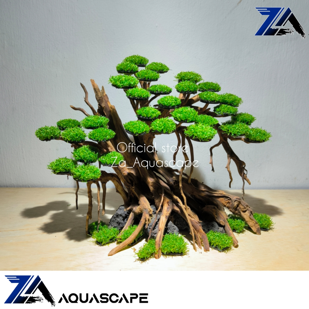 BONSAI AQUARIUM BONSAI AQUASCAPE HIASAN AQUARIUM AQUASCAPE BONSAI AQUASCAPE