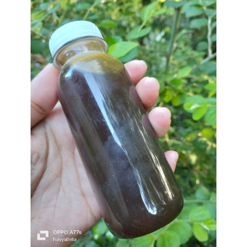 

madu murni kemasan kecil