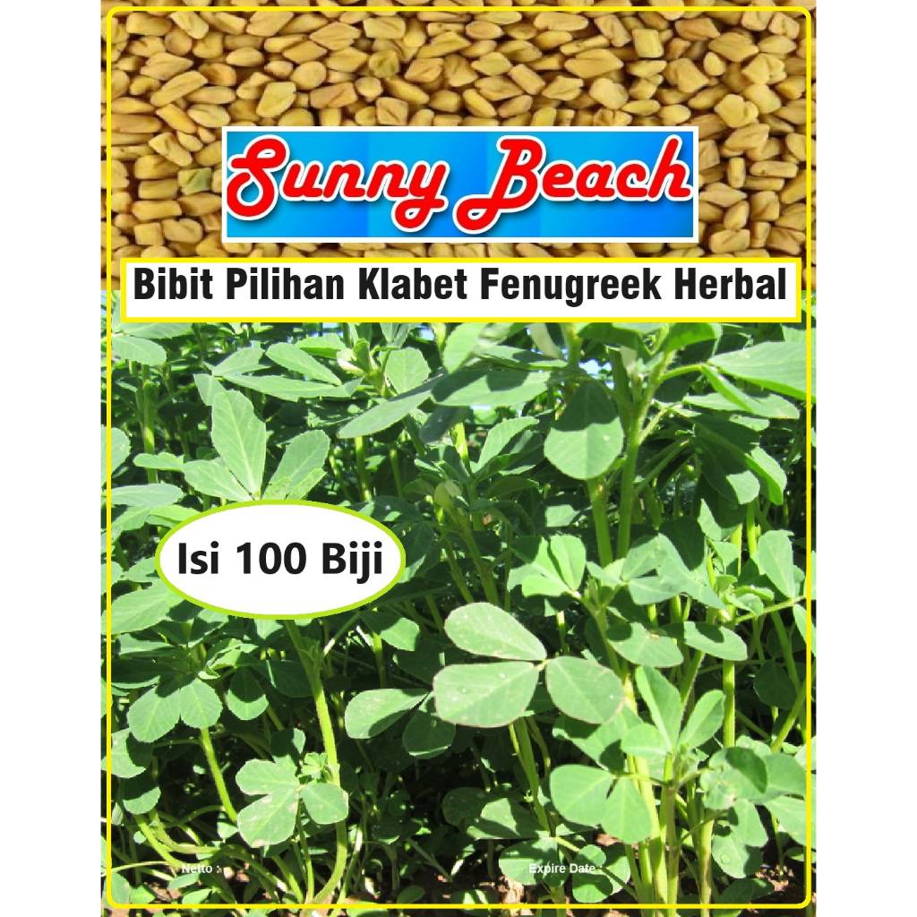 Bibit Pilihan Klabet Fenugreek Herbal | Biji Benih Fenugreek Herbal