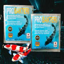ProBakteri bakteri starter kolam aquarium