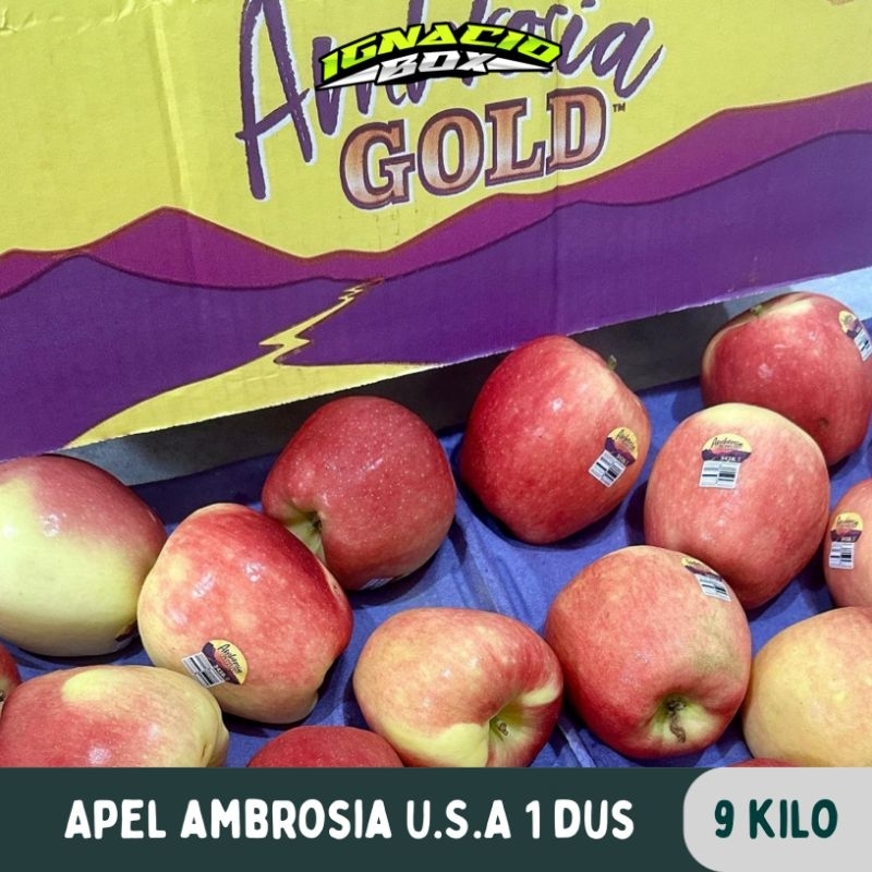 

Apel Ambrosia U.S.A 1 DUS isi 9Kg Fresh Import IgnacioBox