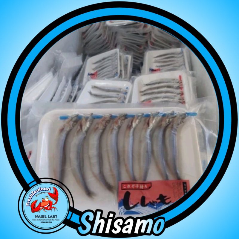 

IKAN SHISAMO