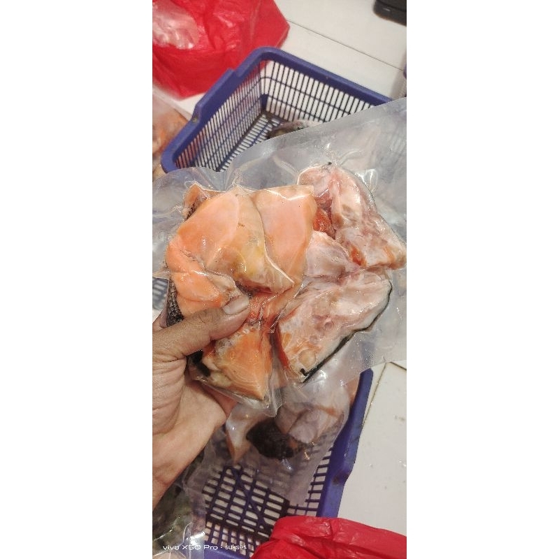 

pala ikan salmon banyak daging