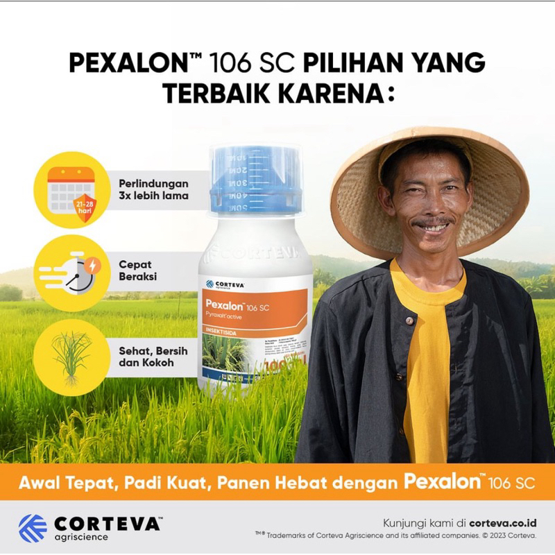 Insektisida Pexalon 106 SC Kemasan 240ml/Racun Wereng/Wereng cokelat