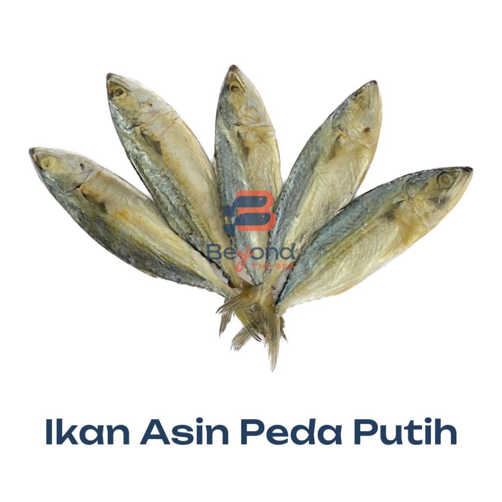 

Ikan Asin Peda/Banjar Putih Besar (Isi 2) | beyondthesea