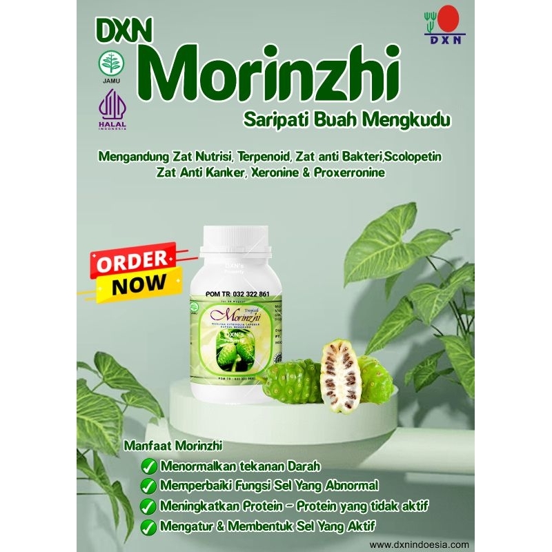 dxn morinzi