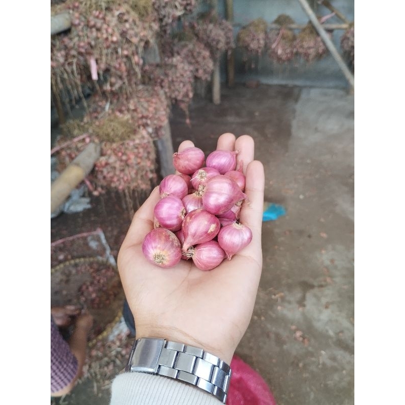 

Bawang Merah Kering