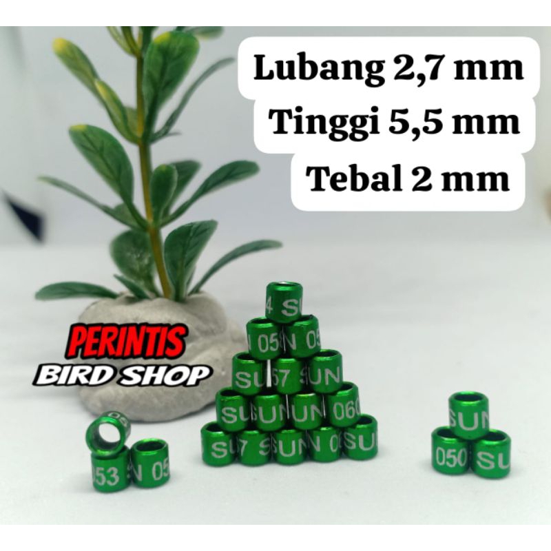 RING KONIN SOGON PLECI BUAT DEWASA 2,7MM BISA ECER BISA GROSIR WARNA LENGKAP