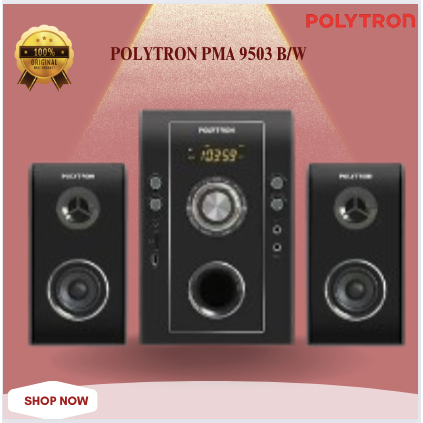 POLYTRON SPEAKER PMA 9503 B/W SPEAKER MULTIMEDIA ORIGINAL/PMA 9503 B/W/PMA9503B/W/PMA-9503-B/W