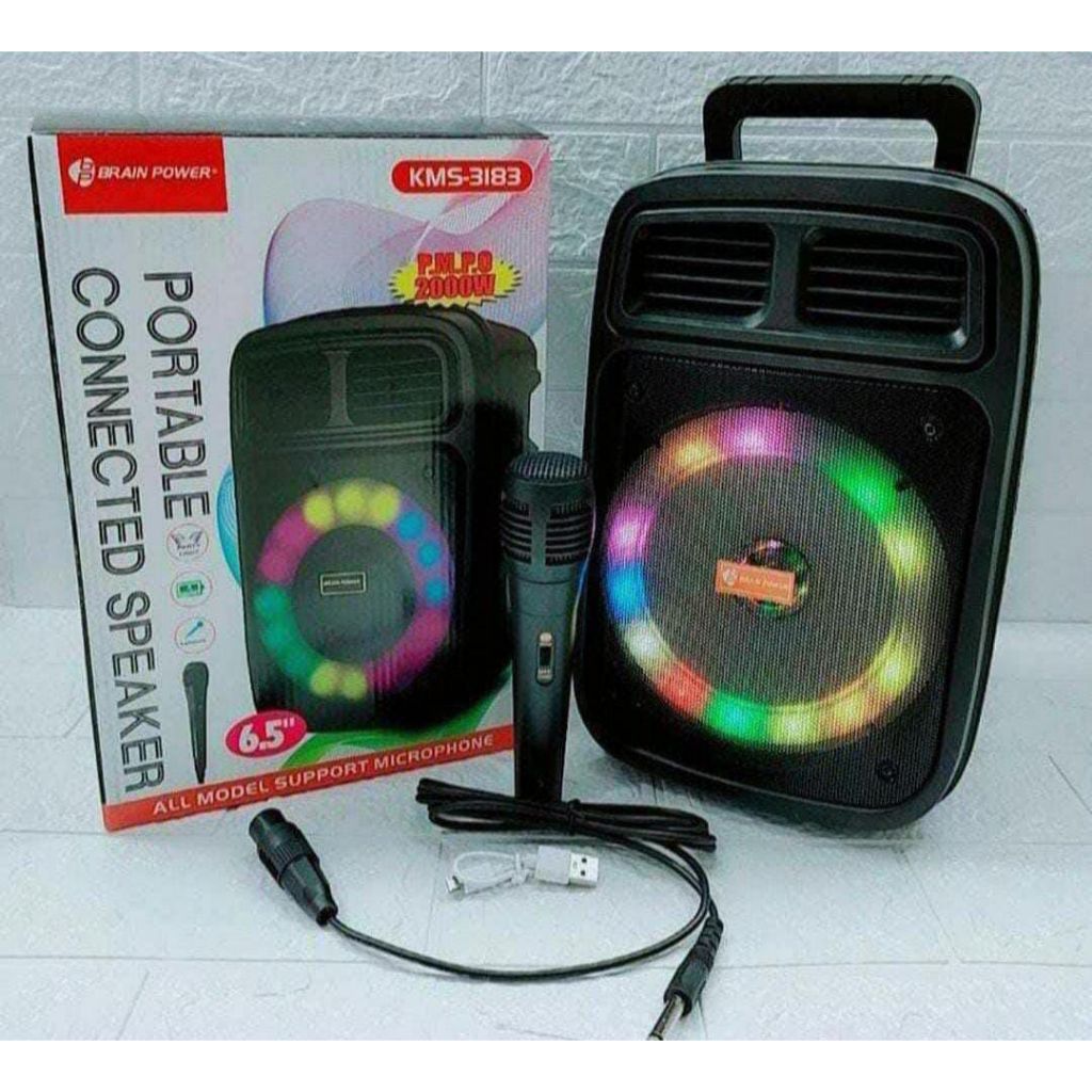 SPEAKER BRAIN POWER 3183 + MIC + REMOTE CONTROL