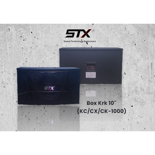 STX - BOX KRK : Box Karaoke 10" 150W Merk STX CK