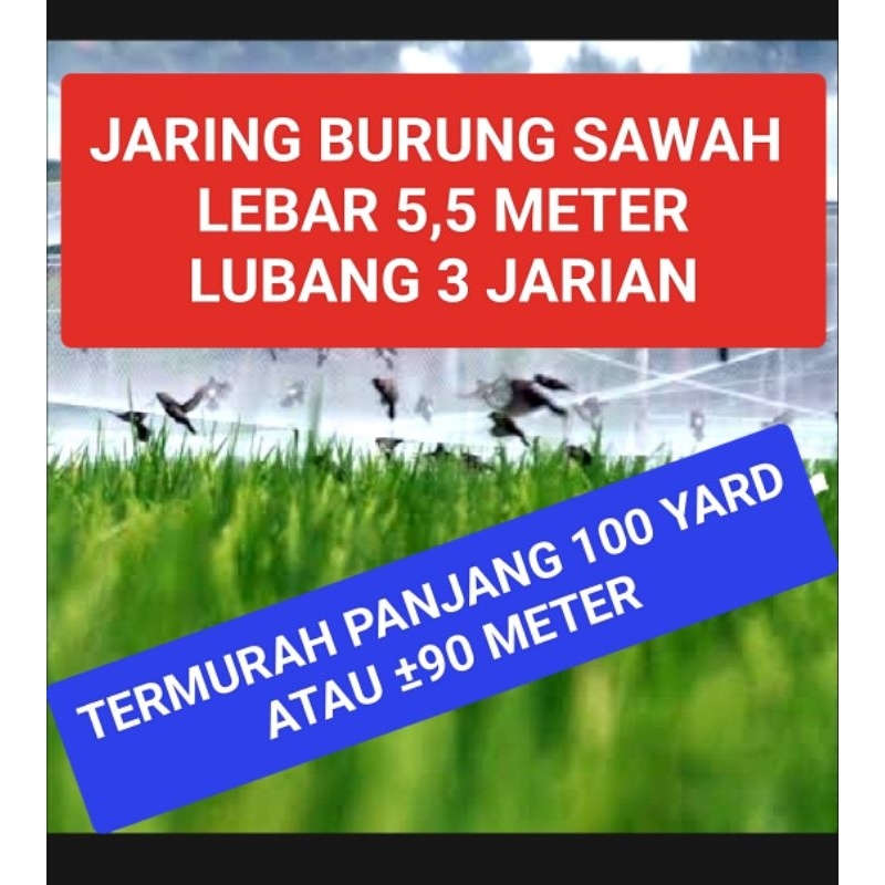 Jaring Burung Pipit Jaring Burung padi Jaring Pertanian Jaring Burung Sawah Jaring Burung Emprit Jar