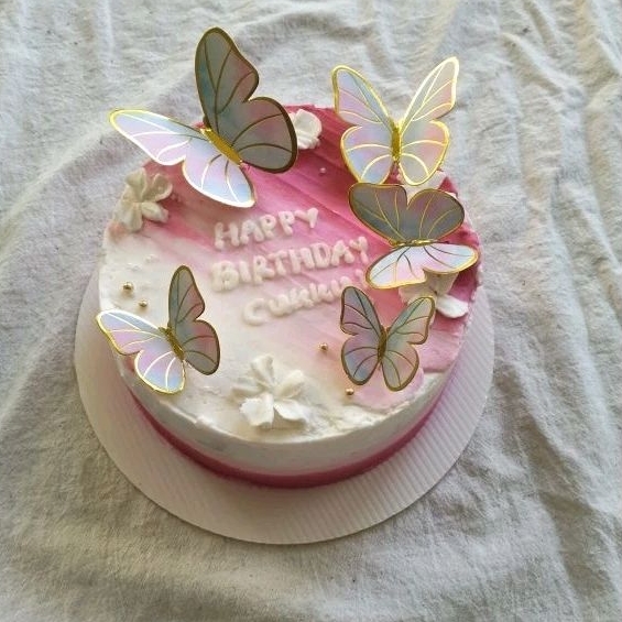 

CAKE BUTTERFLY ( DIAMETER 14)COSTUME CAKE, bisa pesan dadakan