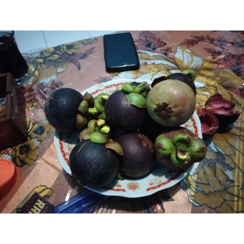 

Buah 1kg manggis asli Banyuwangi segar & manis