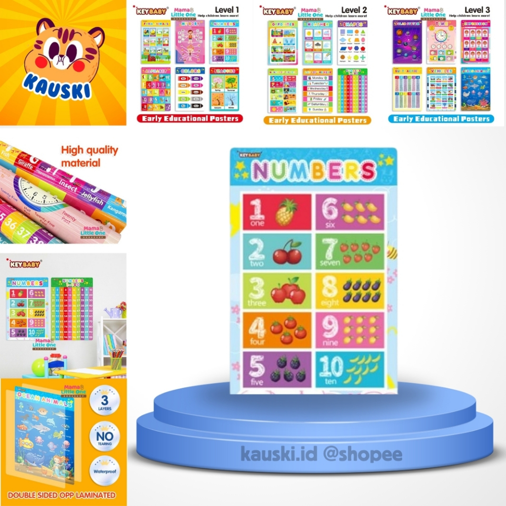 Poster Edukasi Anak Bahasa Inggris isi 6 pcs 28x42cm belajar angka warna binatang kendaraan KEYBABY