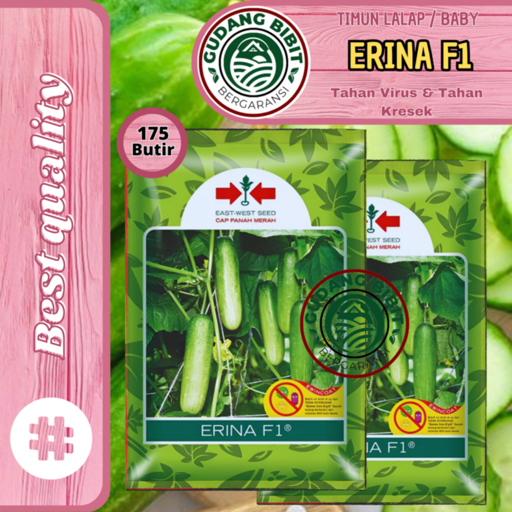 Bibit Timun Baby ERINA F1 175 Butir Cap Panah Merah Timun Lalap Super Kuat