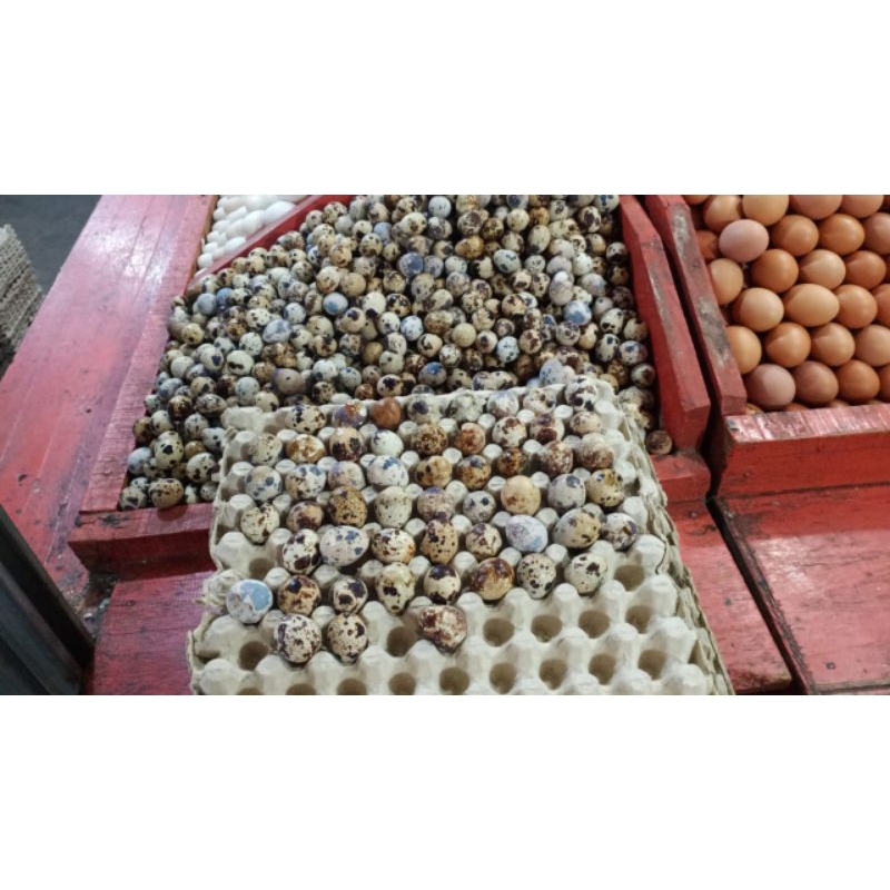 

telur puyuh 1kg