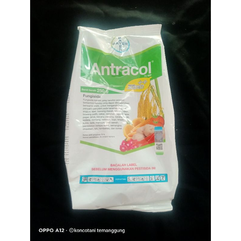 Antracol 250 gram
