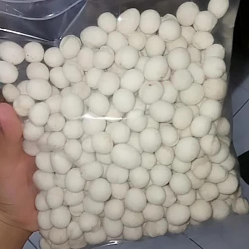 

Kacang Atom
