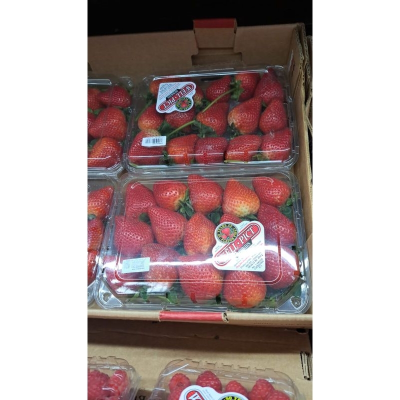 

Strawberry Jumbo USA Wellpict 454 Grm