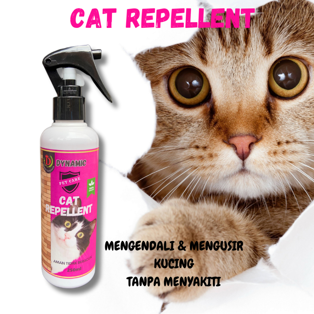 Pengusir Kucing Liar Berak Dan Pipis Sembarangan