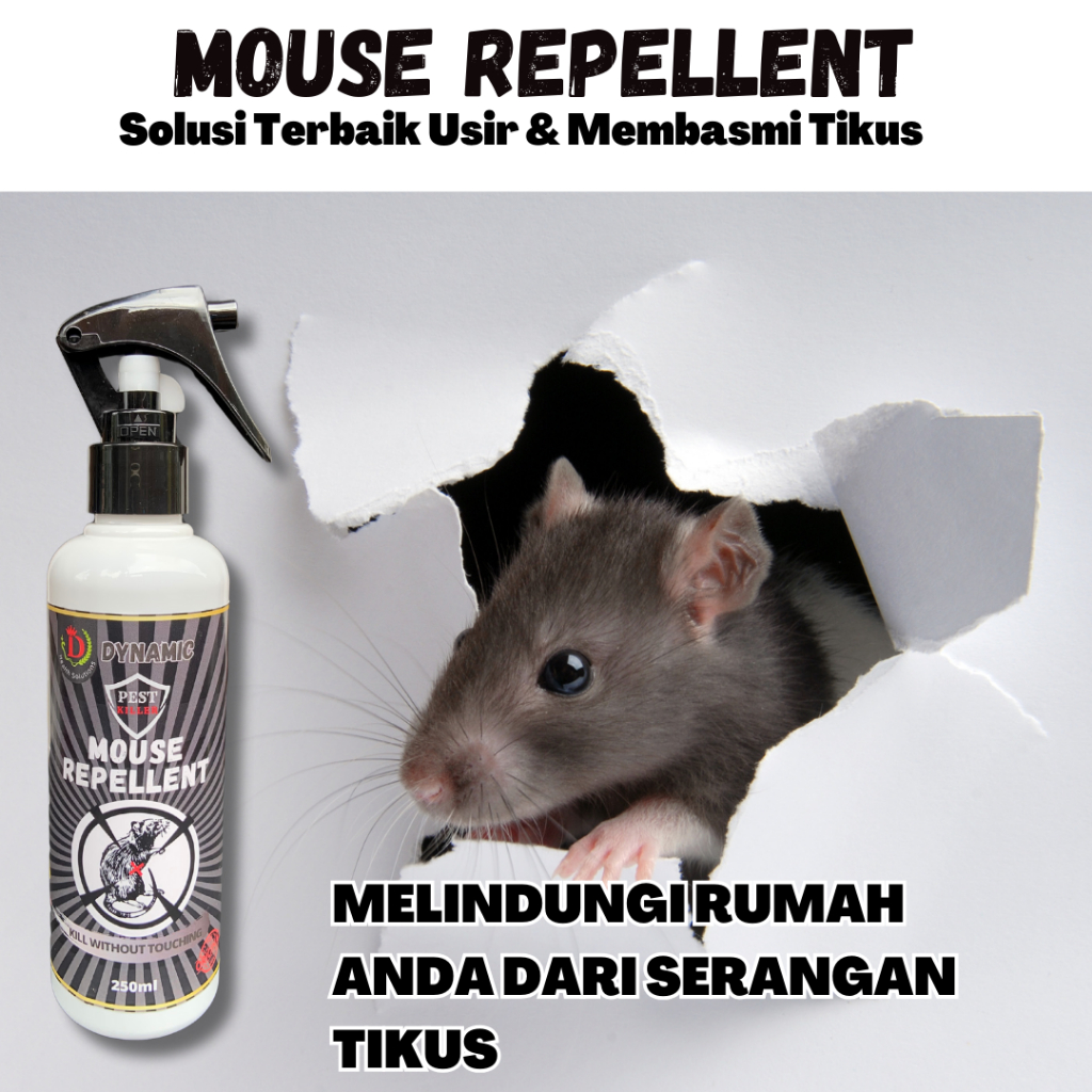 Pembasmi Tikus Paling Ampuh Di Rumah