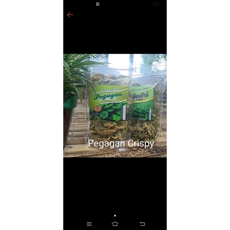 

crispy kemasan sedang