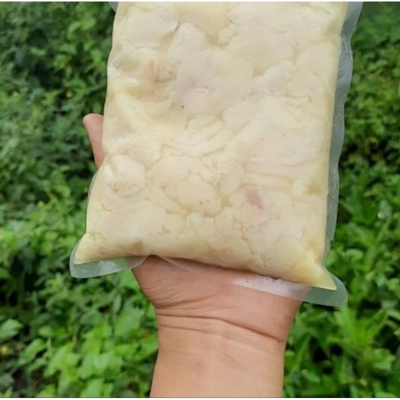 

Lemak Ayam Kampung Asli Andalas