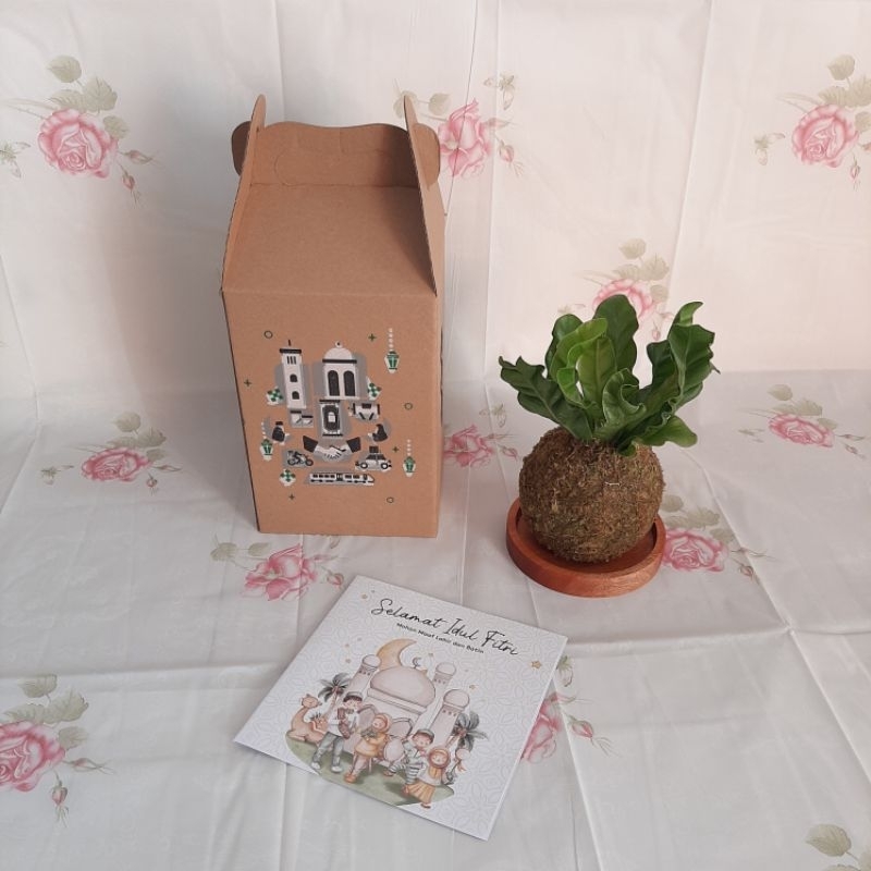 

Hampers Kokedama dari Lumut Segar