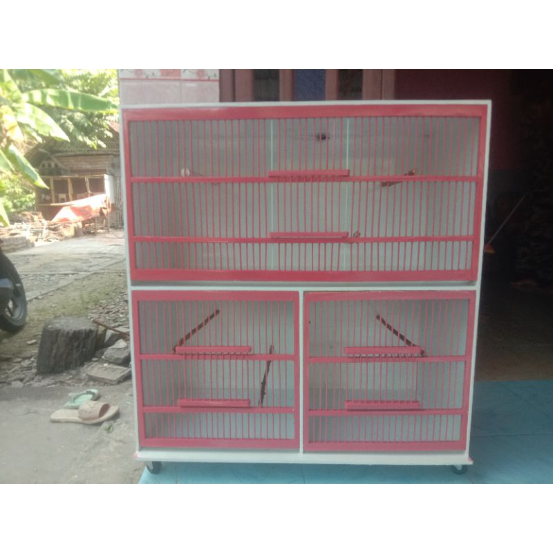 kandang box ternak kenari