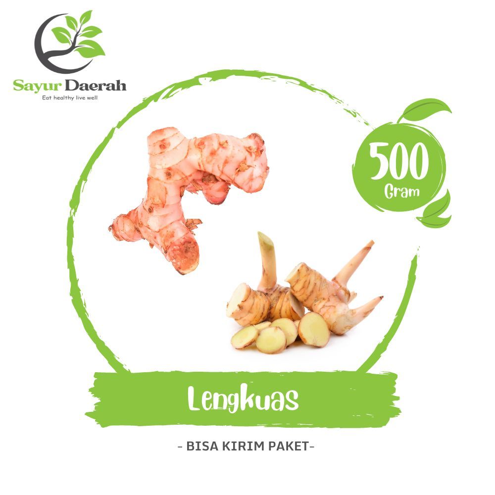 

Lengkuas Laos Laja Merah Putih 500 Gr | Sayur Daerah
