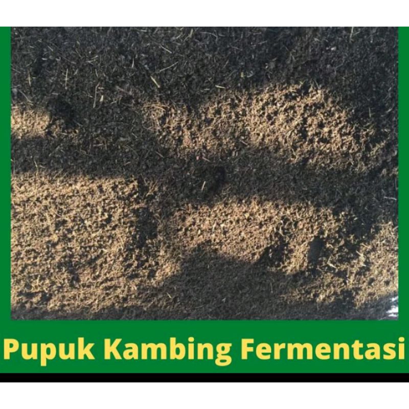 FERMENTASI KOHE/ KOTORAN KAMBING MURNI UKURAN KARUNG 25KG