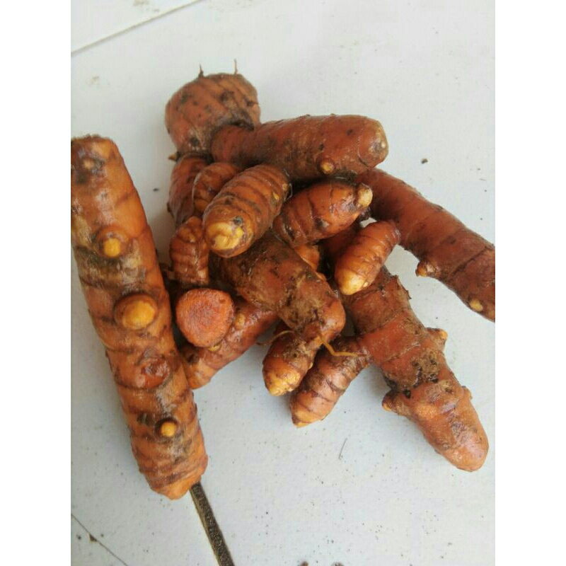 

kunyit,koneng1kg